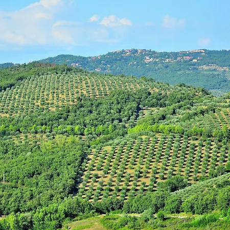 Cozy In Umbria Near Forest * Magione