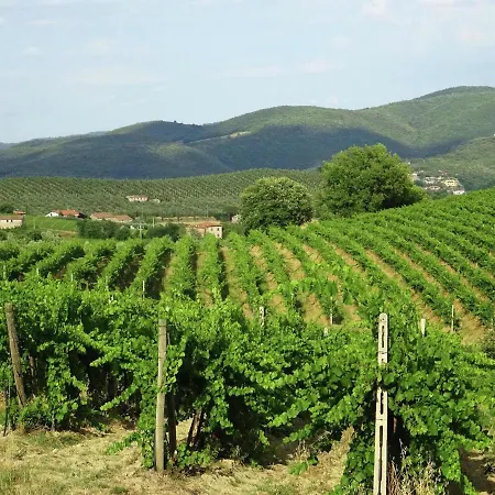 Cozy In Umbria Near Forest מאג'ונה