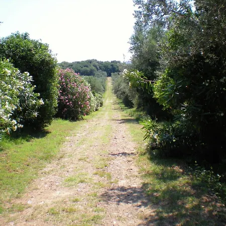 Cozy In Umbria Near Forest בית נופש *