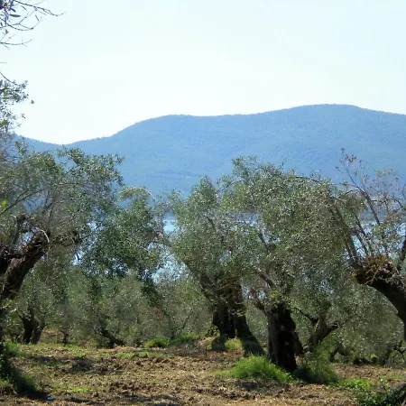 Cozy In Umbria Near Forest *