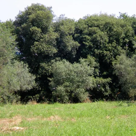 בית נופש Cozy In Umbria Near Forest *