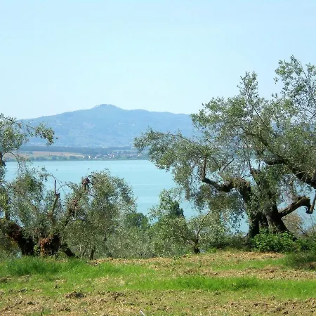 Cozy In Umbria Near Forest
